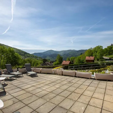 Prázdninový dům Regisland Gentiane - Piscine, Sauna Et Saint-Amarin