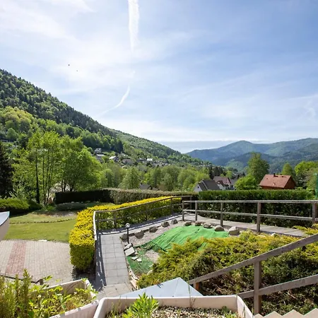 Regisland Gentiane - Piscine, Sauna Et Saint-Amarin